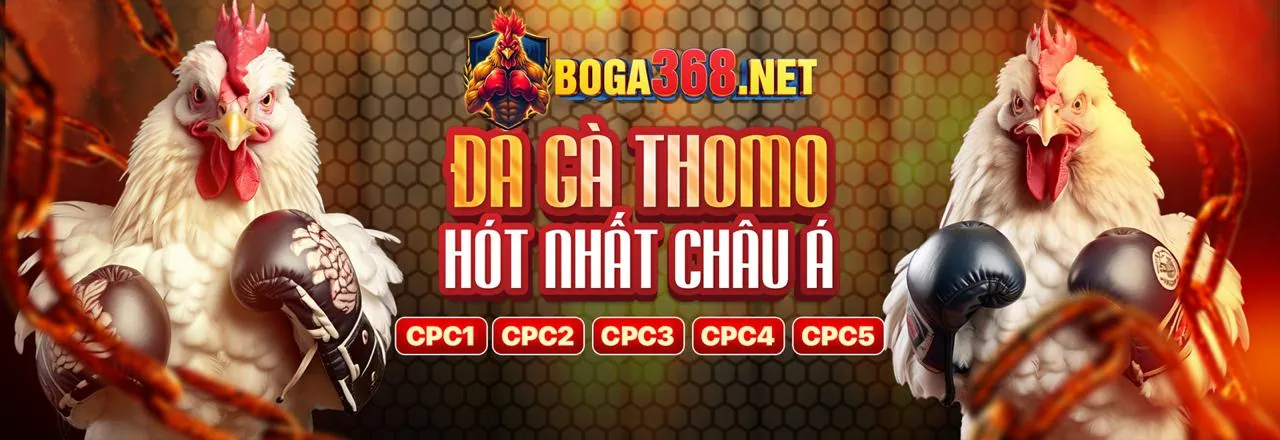 Hình ảnh giới thiệu SV368 hiện đang mở